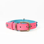 Dog collar with pink and blue design on a white background