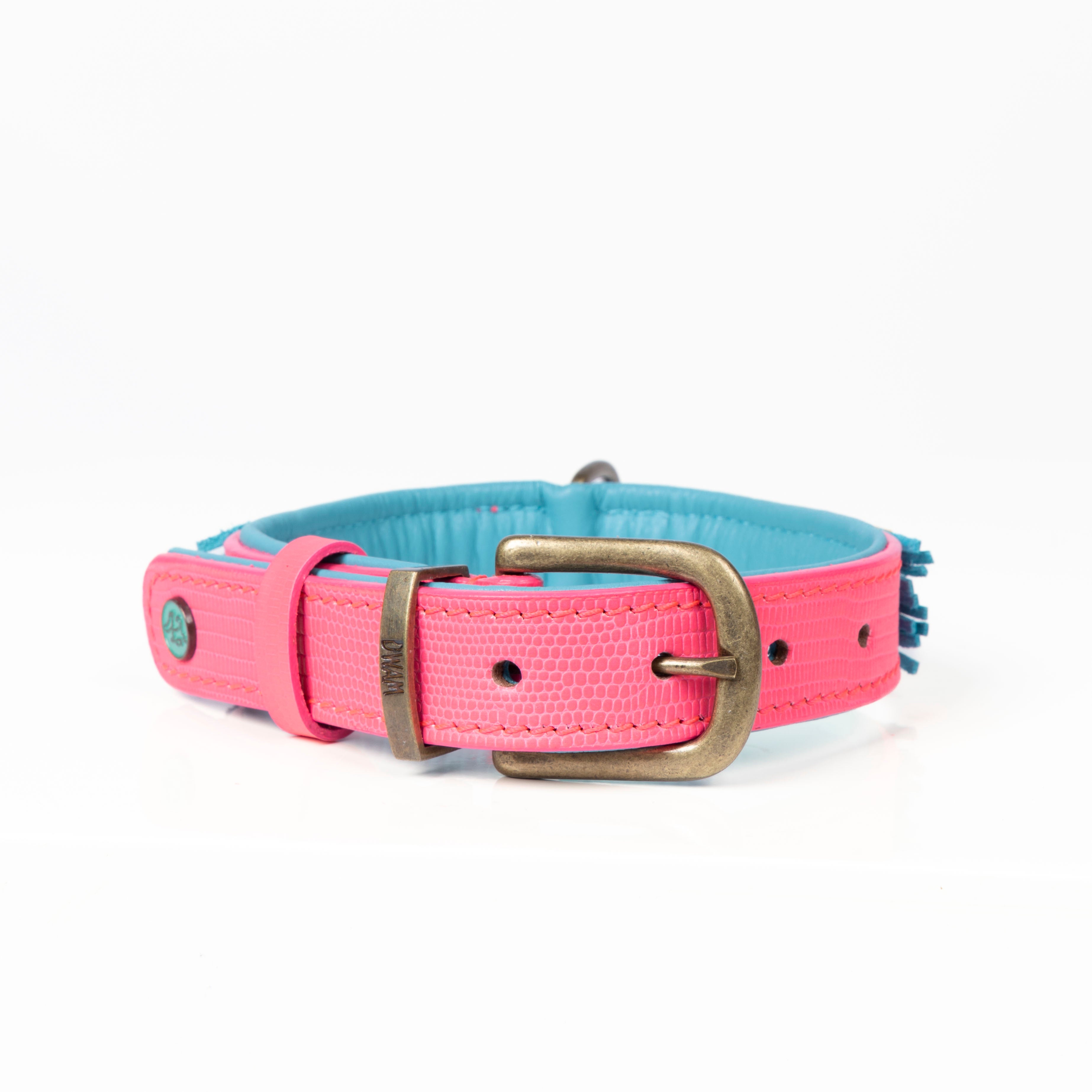 Dog collar with pink and blue design on a white background