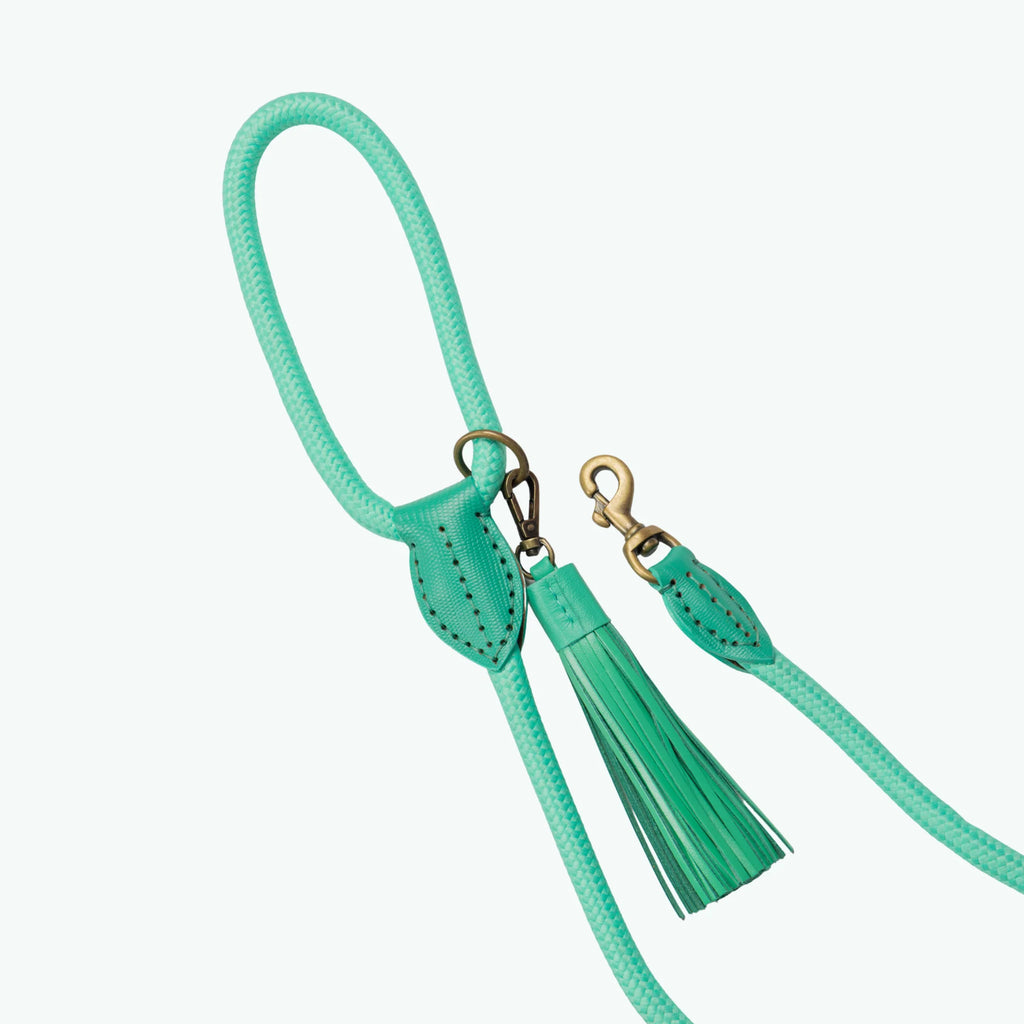 Lagoon Classic Leash