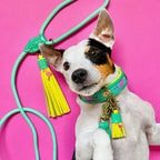 Lagoon Classic Leash