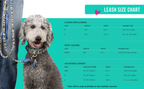 Dog with a leash next to a leash size chart on a teal background