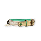 Dog collar with brass buckle and green strap on a white background