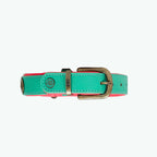 Maui Dog Collar