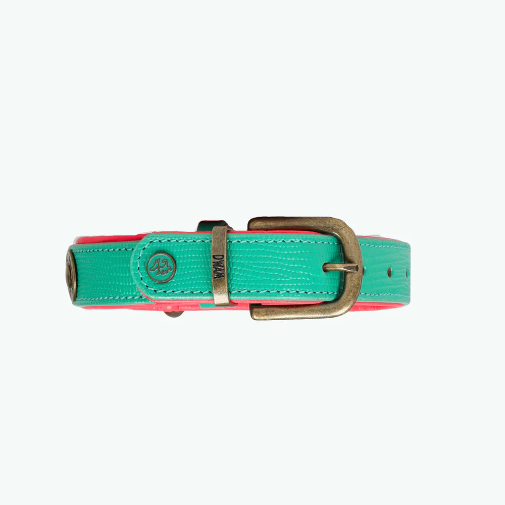 Maui Dog Collar