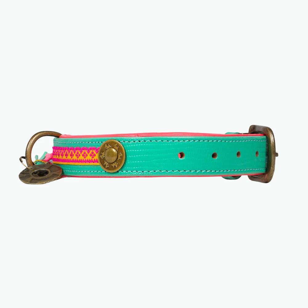 Maui Dog Collar