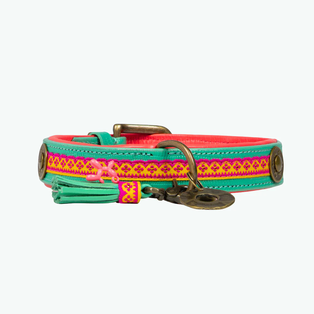Maui Dog Collar