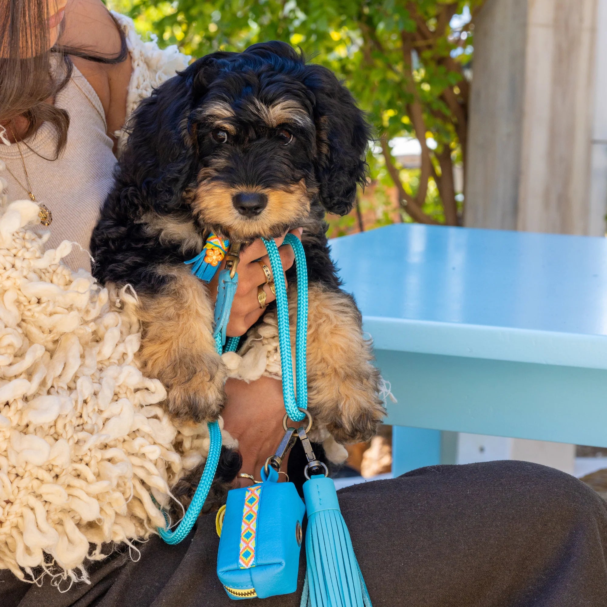 Classic Pacific Dog Leash