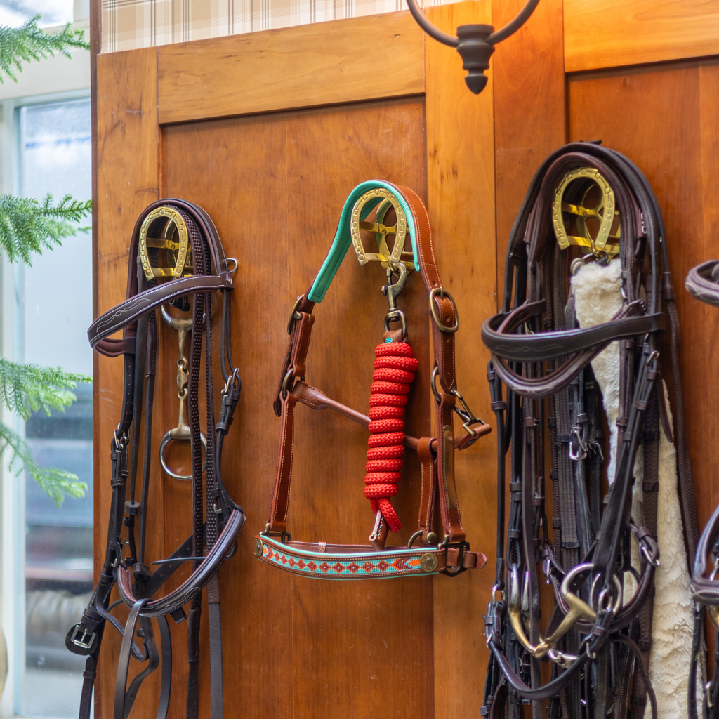 Paddy Lee Horse Halter