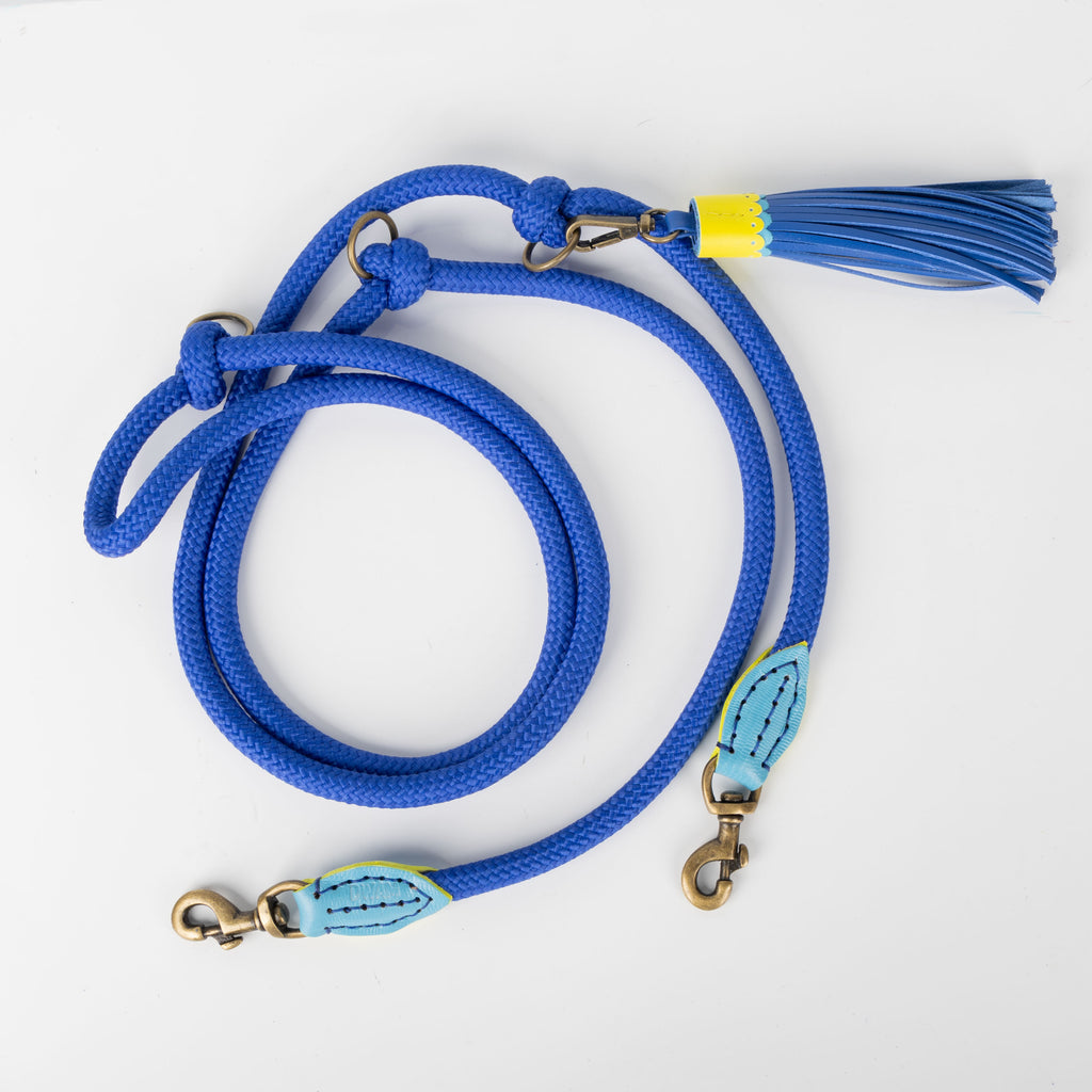 Blue dog leash with a tassel on a white background