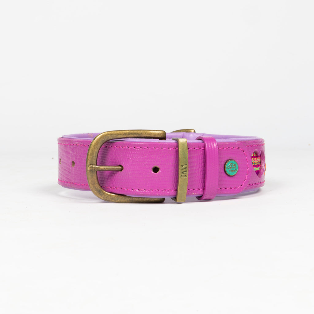 Pink dog collar with a brass buckle on a white background