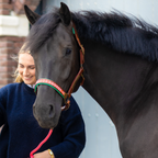 Sweet Mae Horse Halter