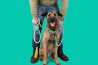 Person holding a dog on a leash against a teal background
