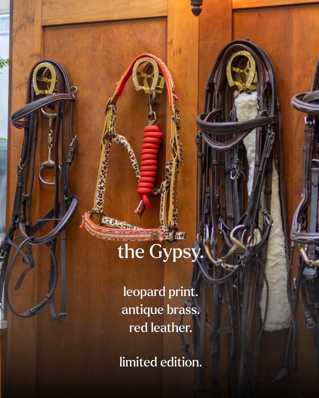 Gypsy Halter