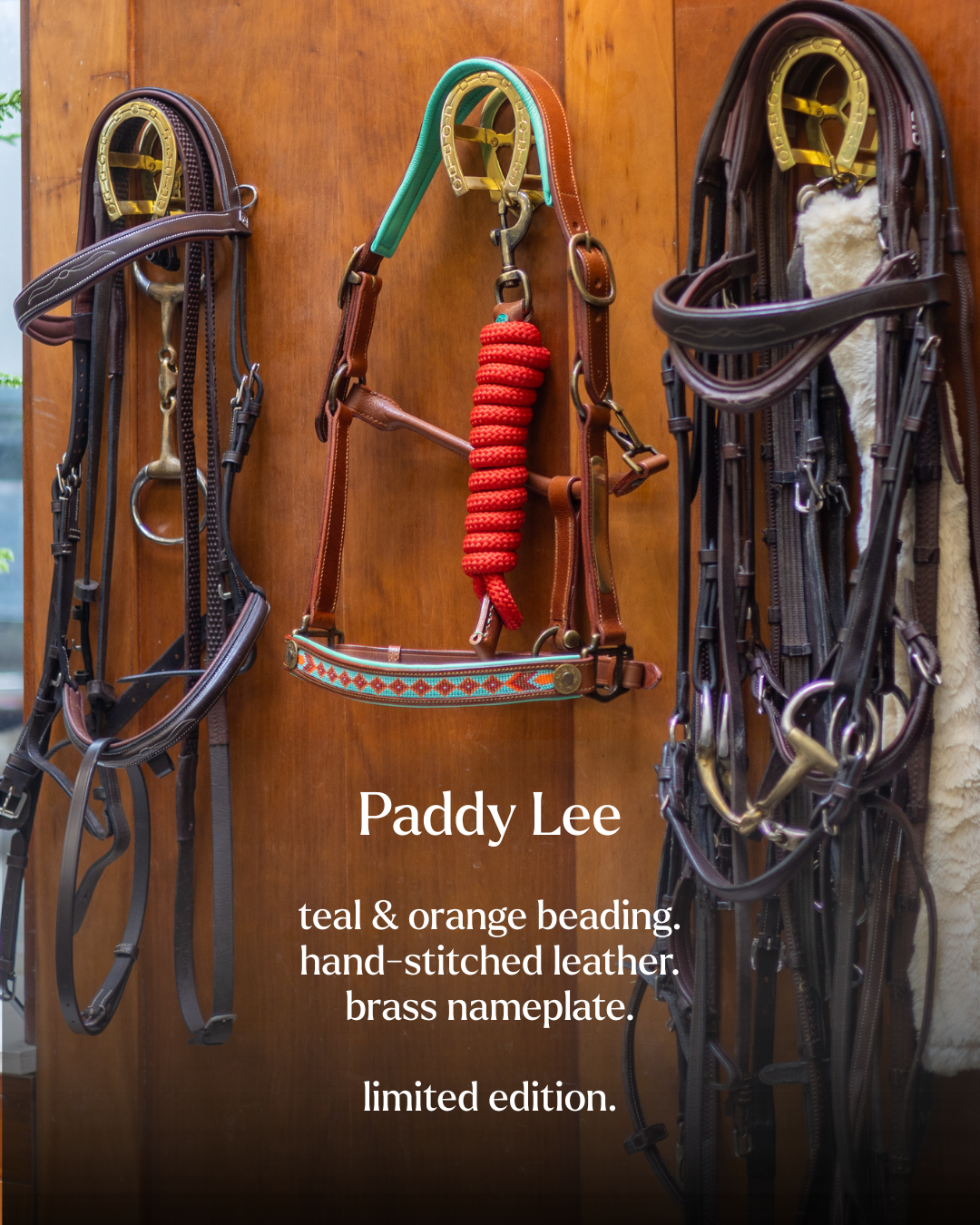 Paddy Lee Horse Halter