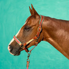 Sweet Mae Horse Halter